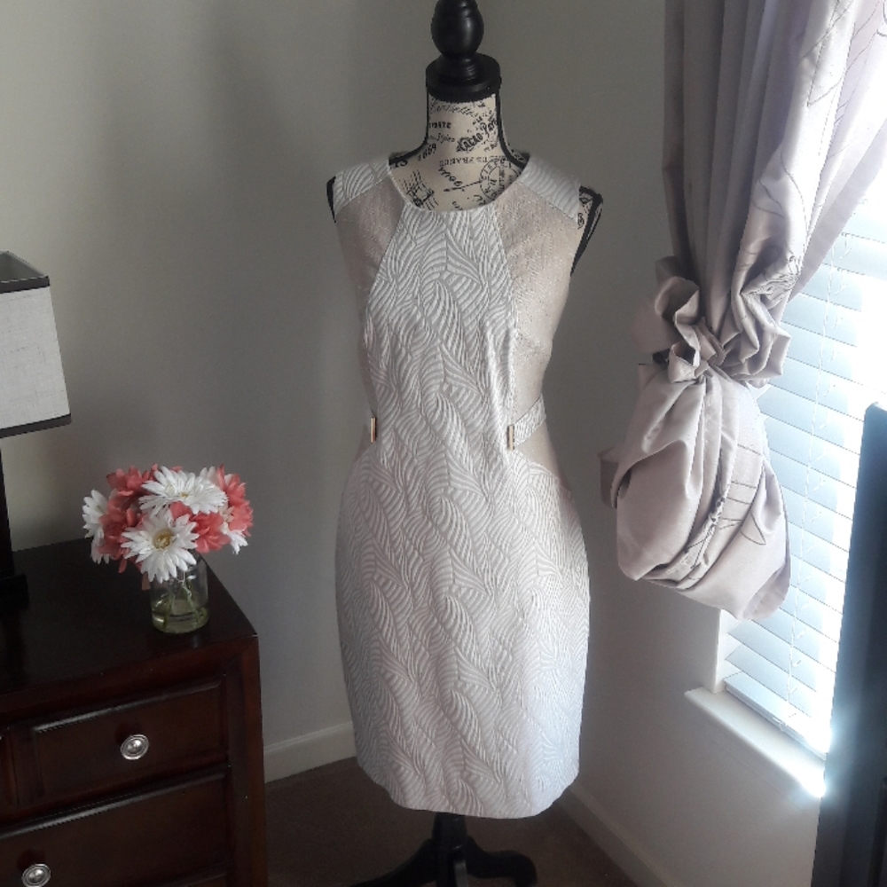 Calvin Klein Dress